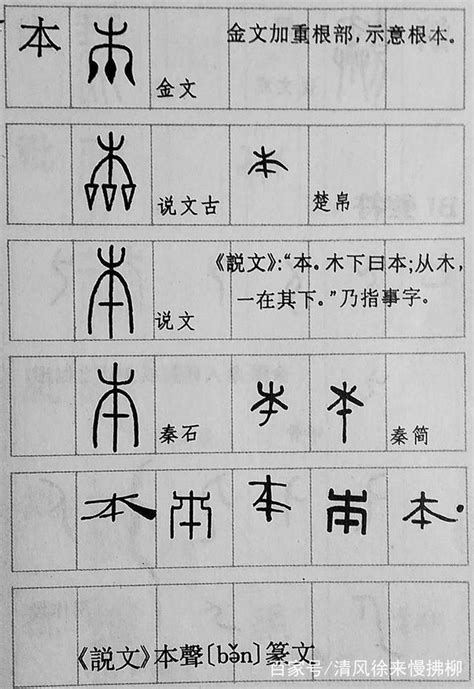 指事字查詢|指事 的意思、解釋、用法、例句